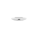 AJ-REX-W-(5).webp
