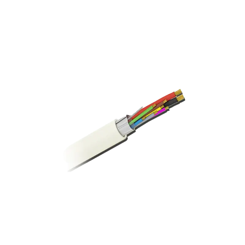 CA-2+4
